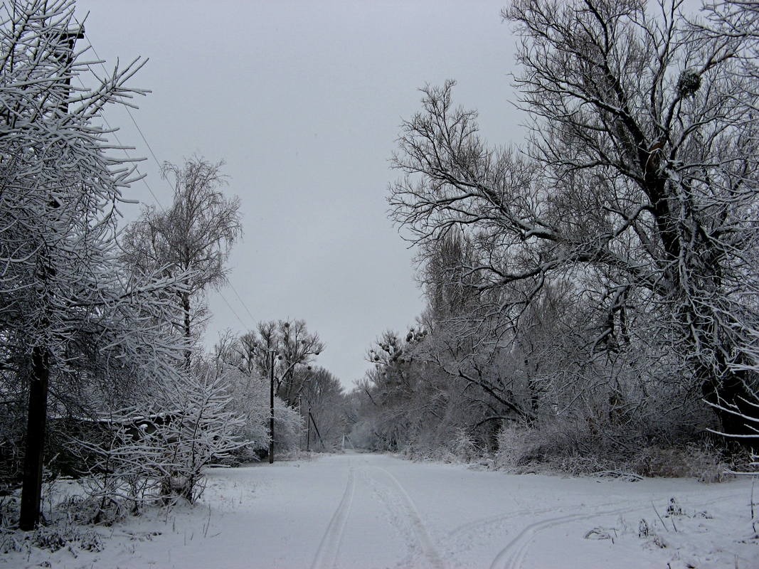 Роздоріжжя.