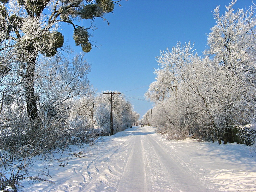 Сільська дорога.