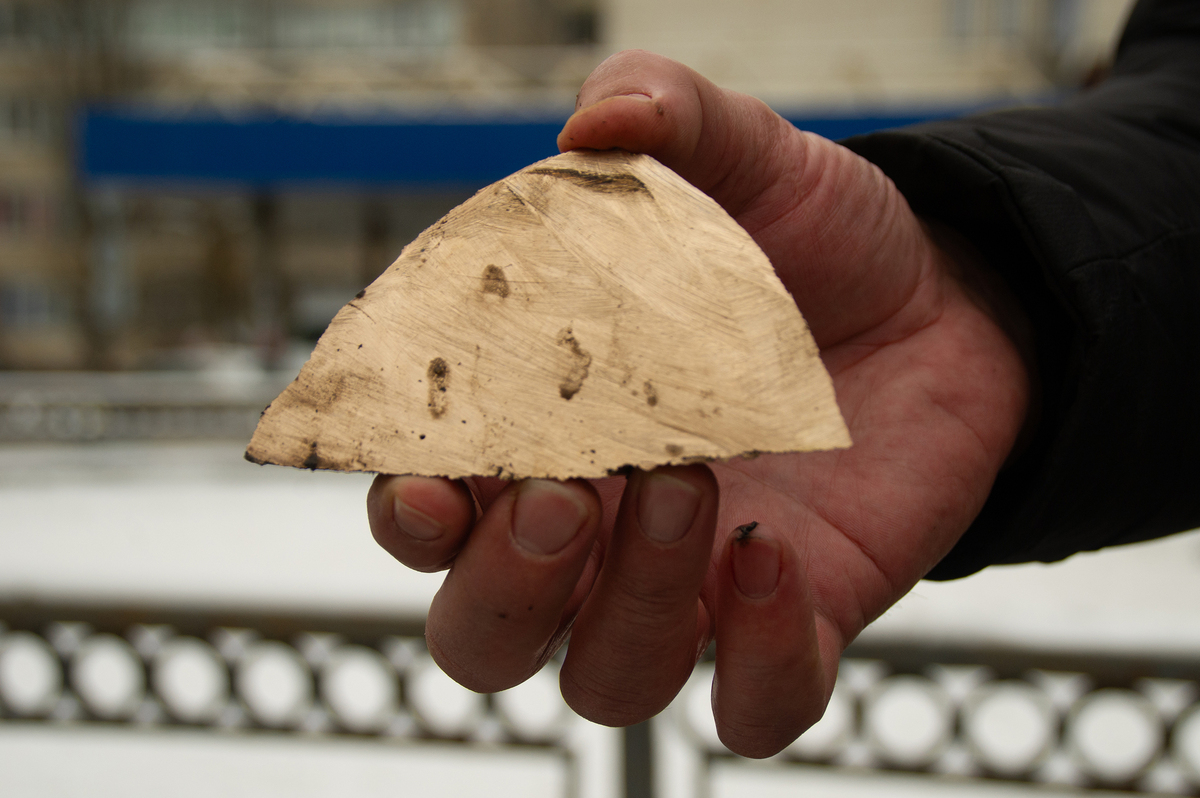 Зріз (зріз копита)