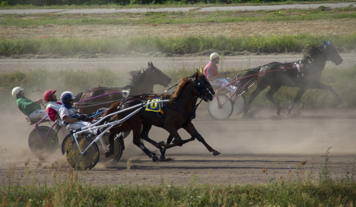 Погоня_за_лідером(Київський_іподром20_08_2023)