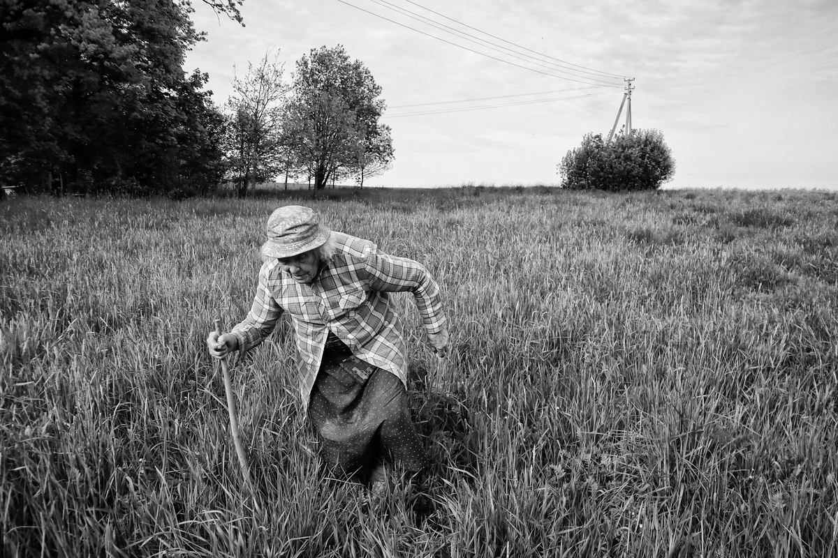 Стежка Біруте