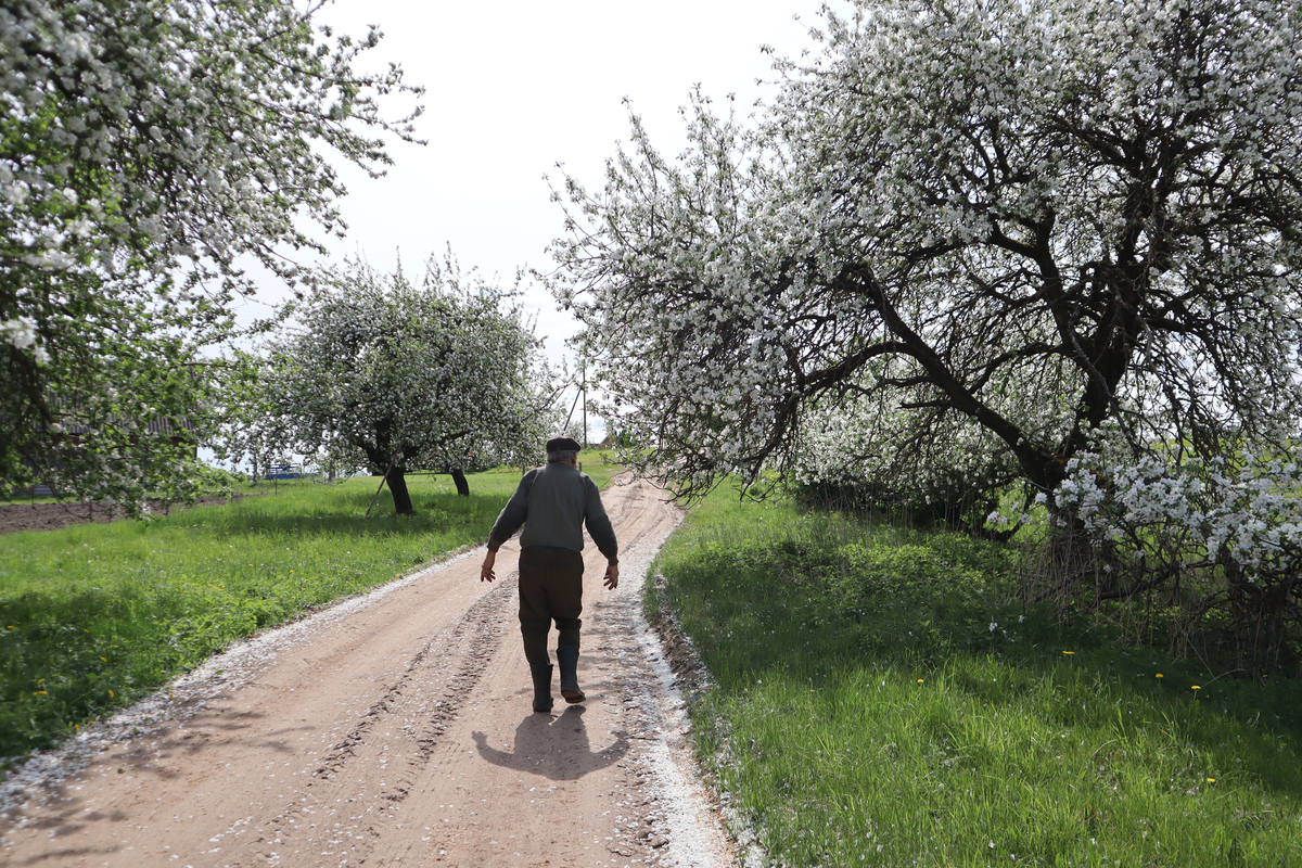 Травнева дорога