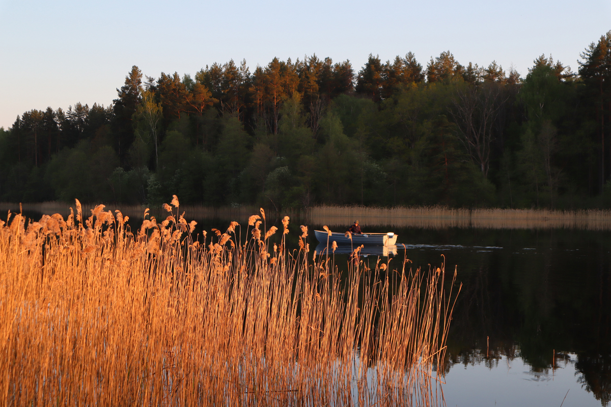 Рибальський вечір