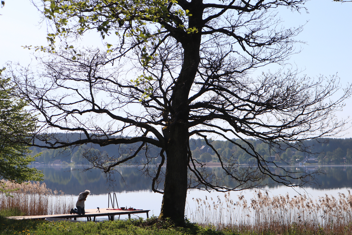 Весняні почуття
