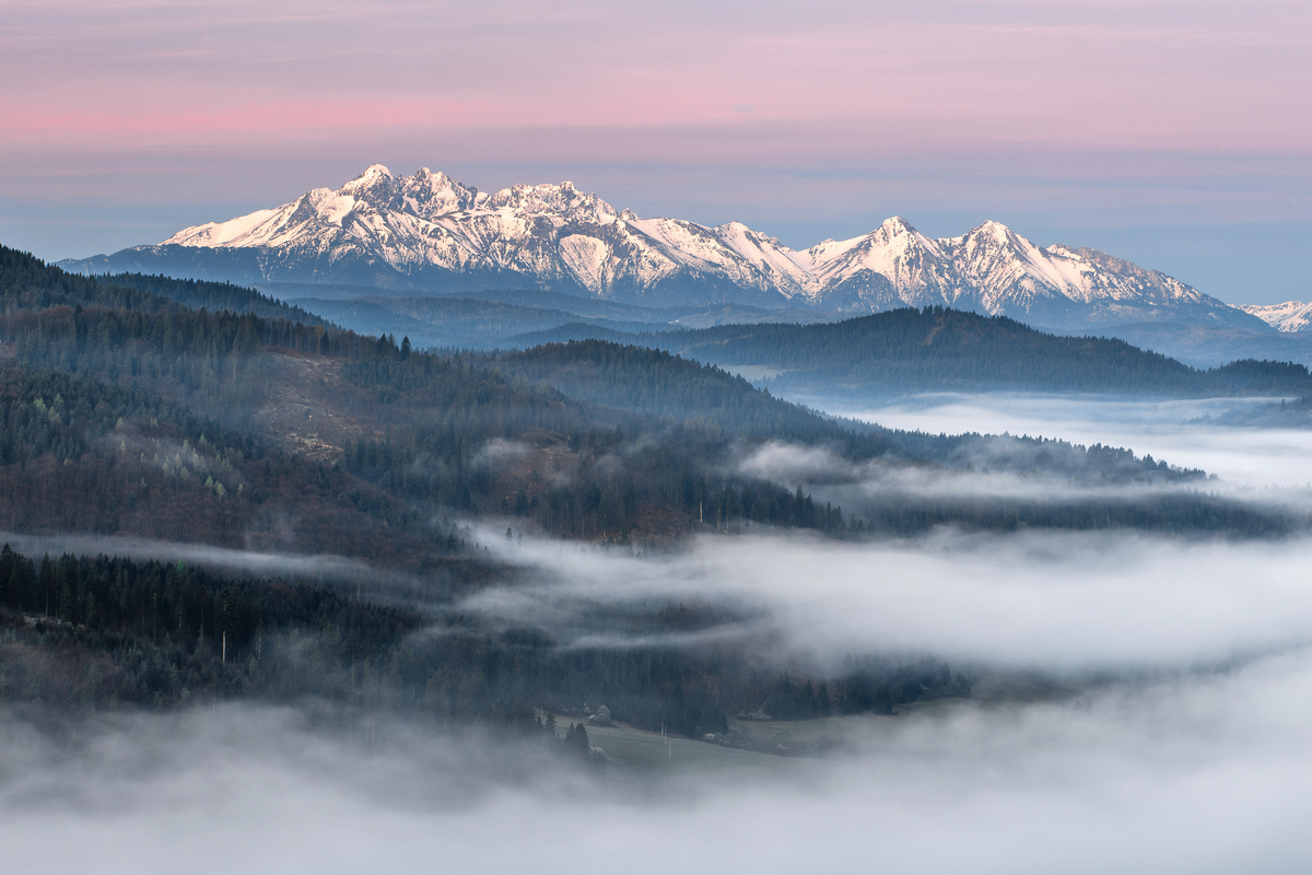 1 - Na Lechnickim Sledo