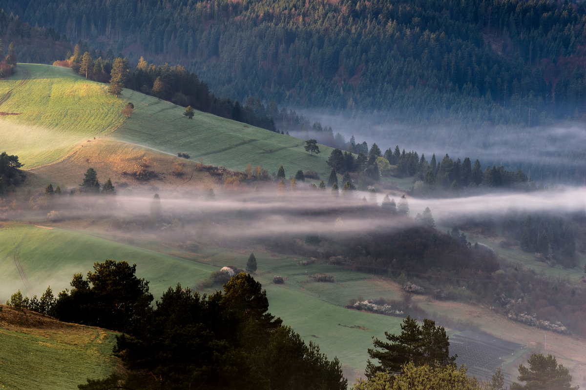 2 - Na Lechnickim Sledo