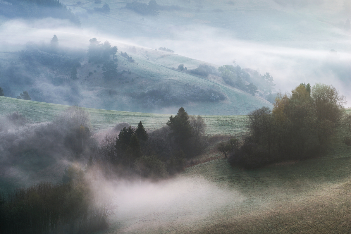 3 - Na Lechnickim Sledo