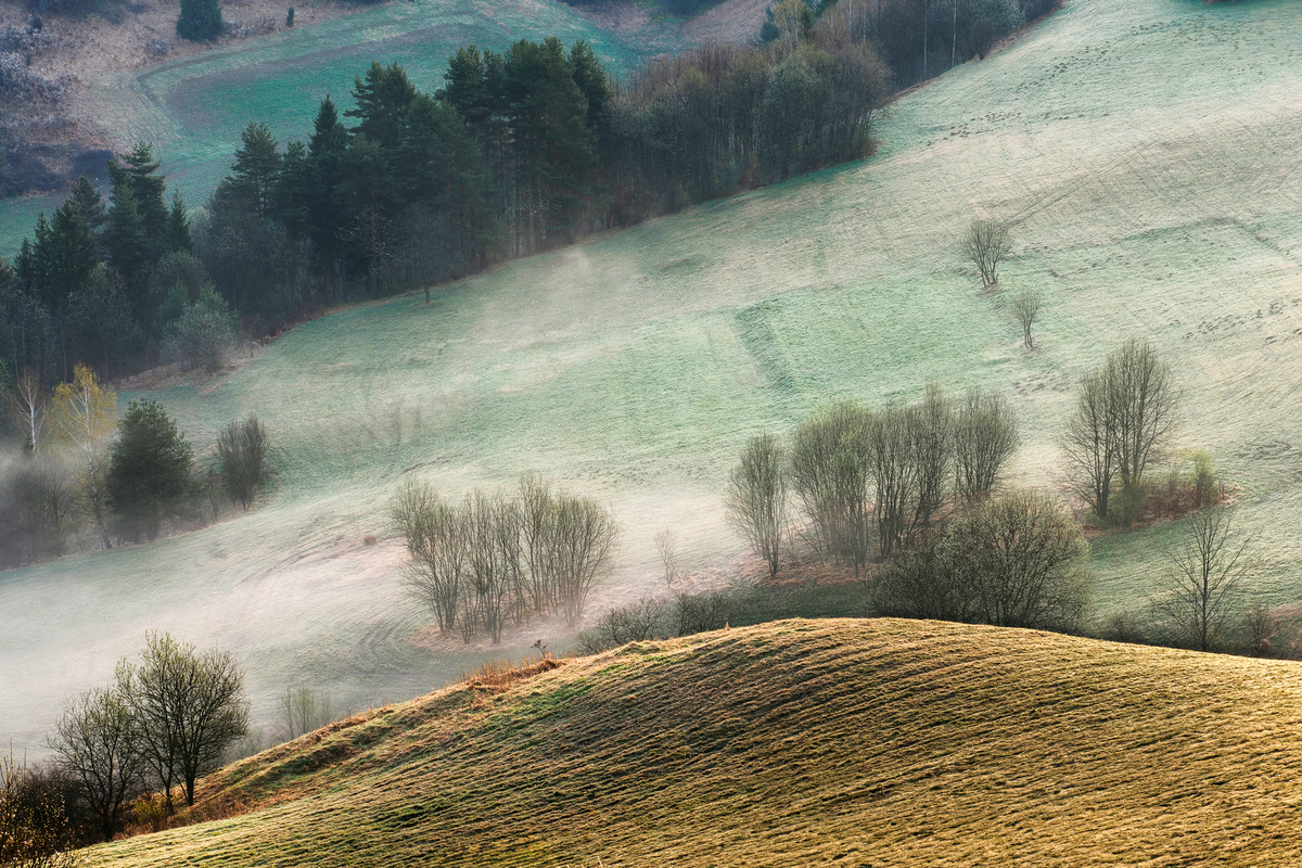4 - Na Lechnickim Sledo
