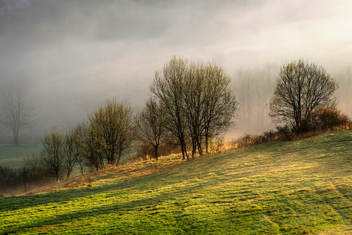 5 - Na Lechnickim Sledo