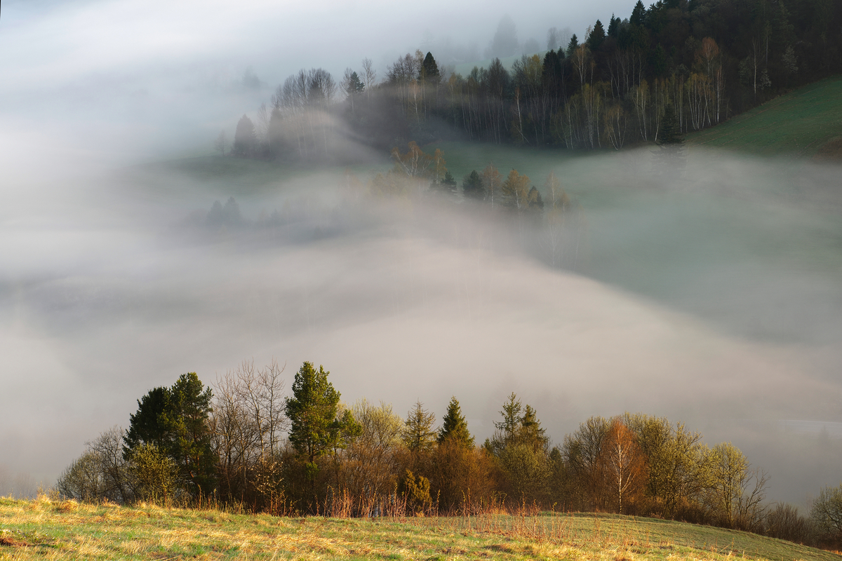 6 - Na Lechnickim Sledo
