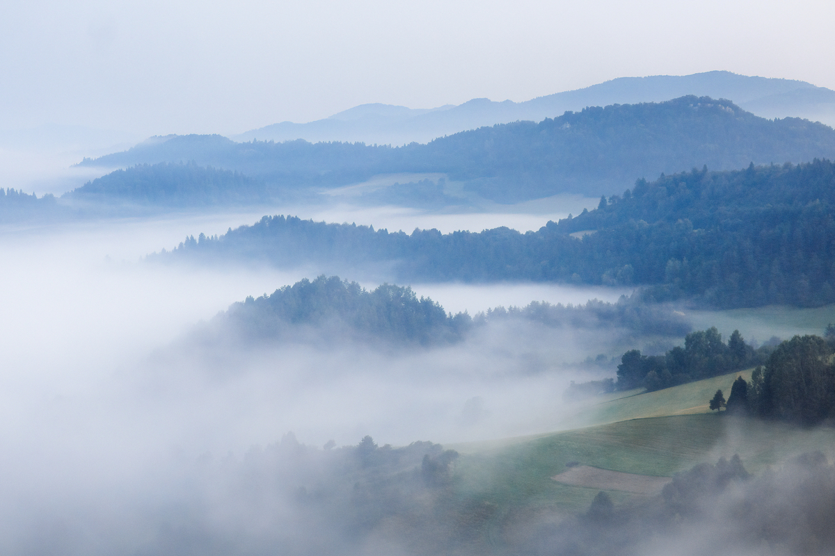 7 - Na Lechnickim Sledo