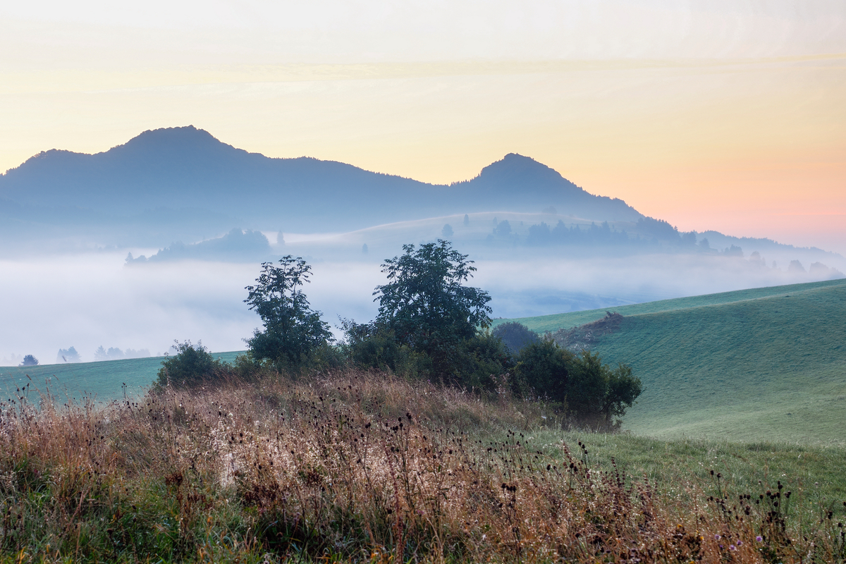 8- Na Lechnickim Sledo 