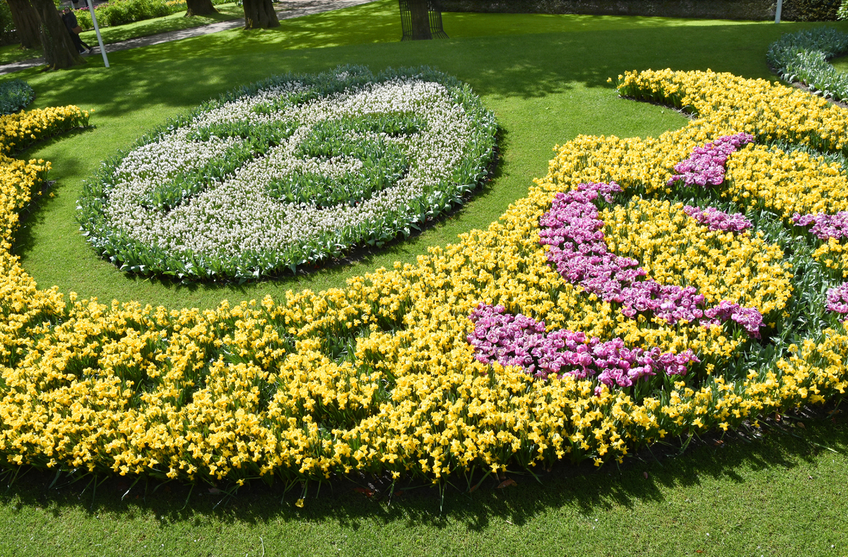 Парк квітів Кекенхоф Королівський парк Кекенхоф- найбільший парк цибулинних квітів у світі та найпопулярніше місце відпочинку в Голландії. Парк відкрився у 1949 році, де вперше пройшла виставка квітів, яка тепер стала щорічною, На 32 гектарах тут вирощують 100 різновидів тюльпанів,безліч нарцисів,гіацинтів,гортезій, орхідей, троянд... У парку є сотні клумб, які рясніють усіма барвами та відтінками веселки. У Кекенхофі можна побачити історичні види тюльпанів, що культивувалися ще у 16 столітті. Взагалі, Голландія славиться своїми квітами на весь світ і, зокрема, тюльпанами, які уперше потрапили у країну у 1590 році. У сезон весняного цвітіння тут буває  сотні тисяч відвідувачів зі всіх куточків нашої планети. Нинішнього року парк Кекенхоф святкує своє 75-ти річчя і сезон весняного цвітіння буде тривати до 12 травня. Тут треба обов