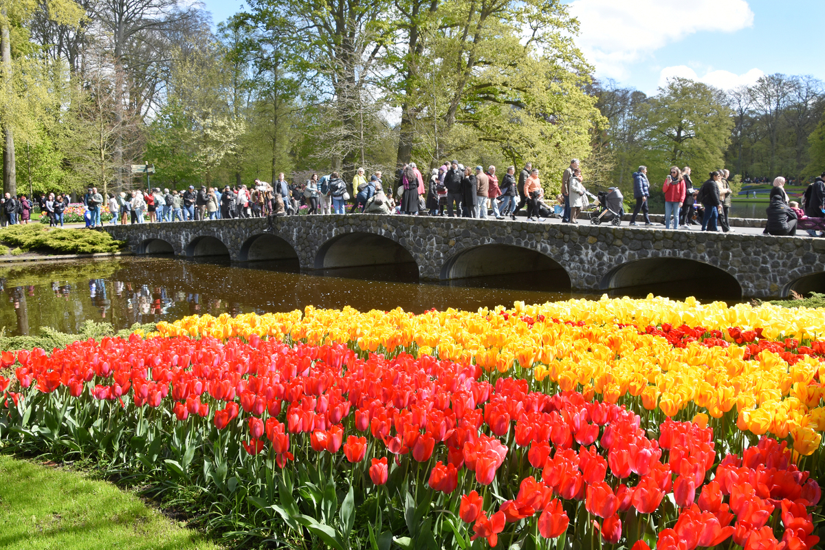 Парк квітів Кекенхоф