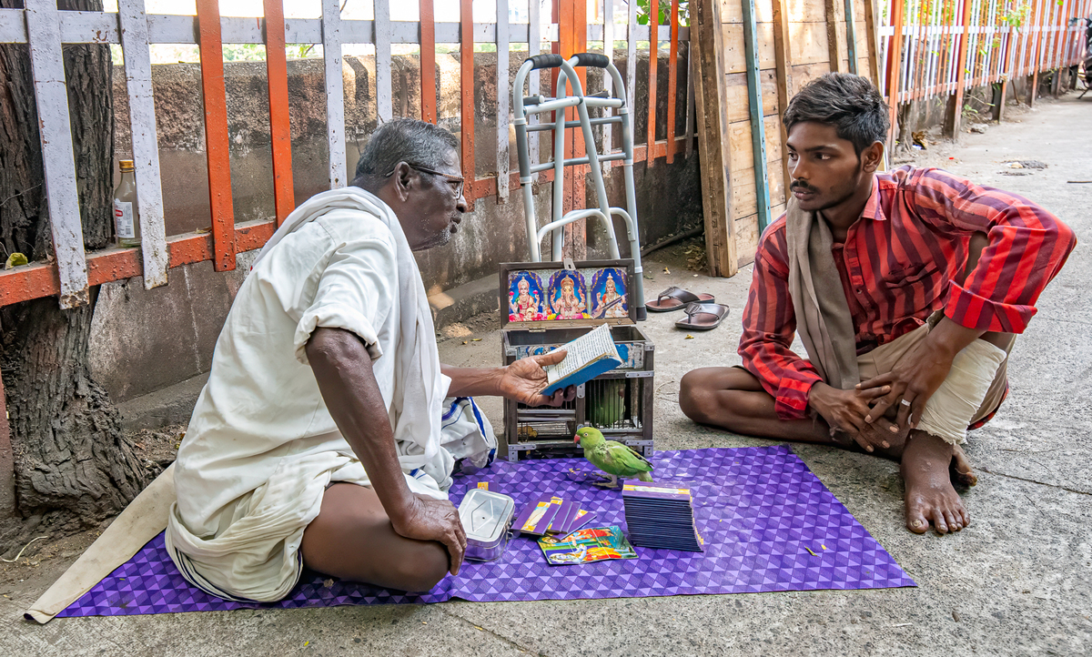 Astrology by parrot 6201