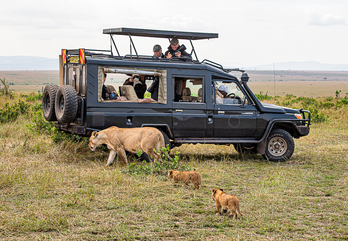 Photographers and lions 2718