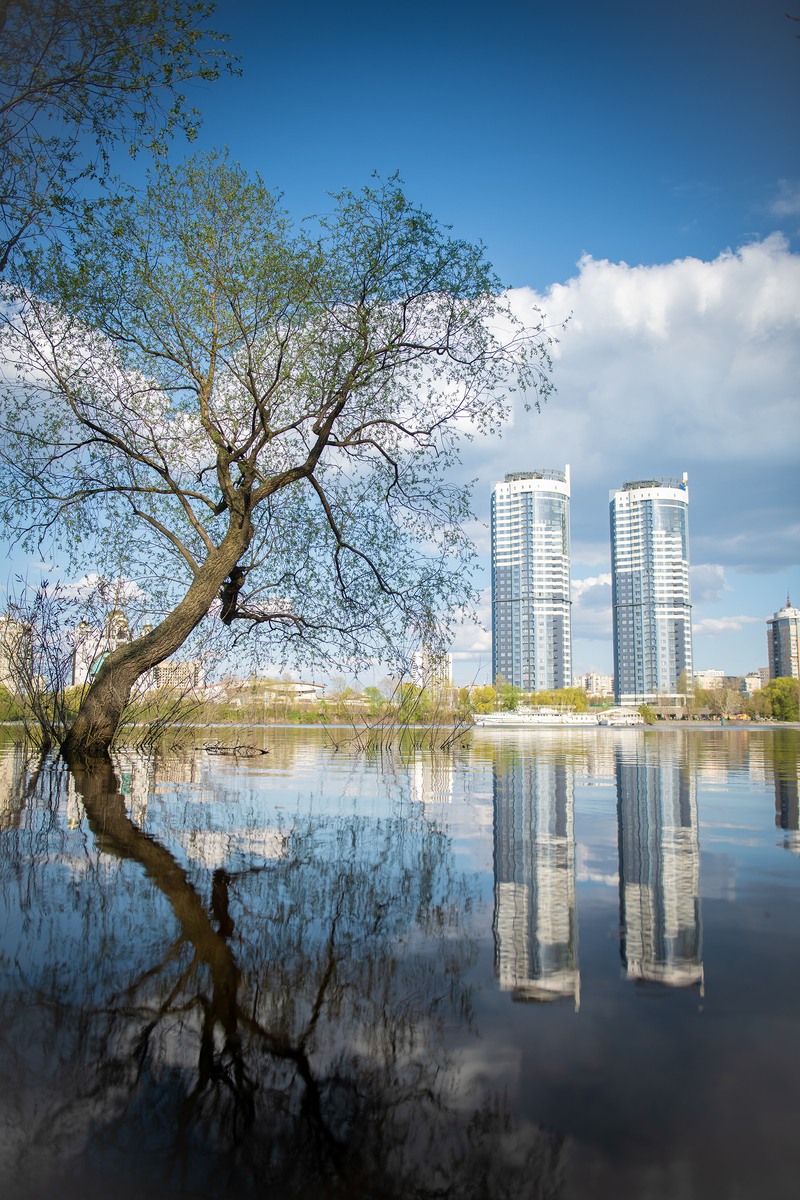 Віддзеркалля