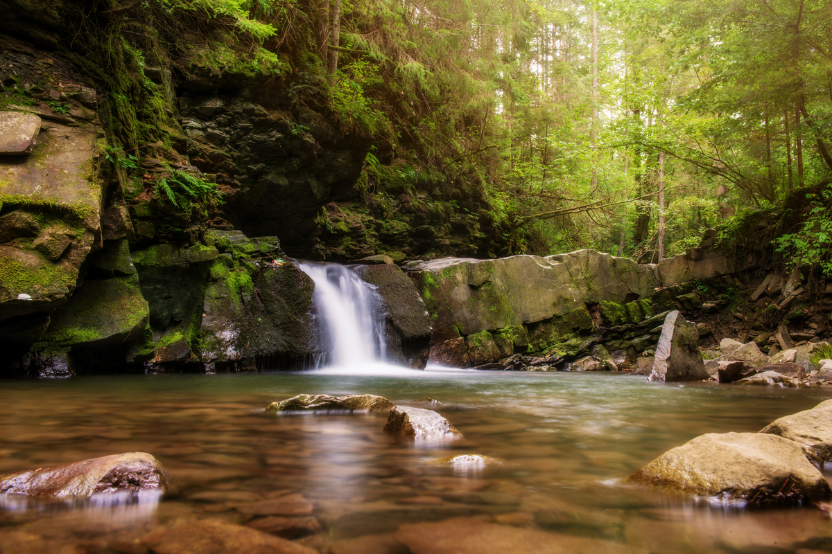 Дівочі сльози