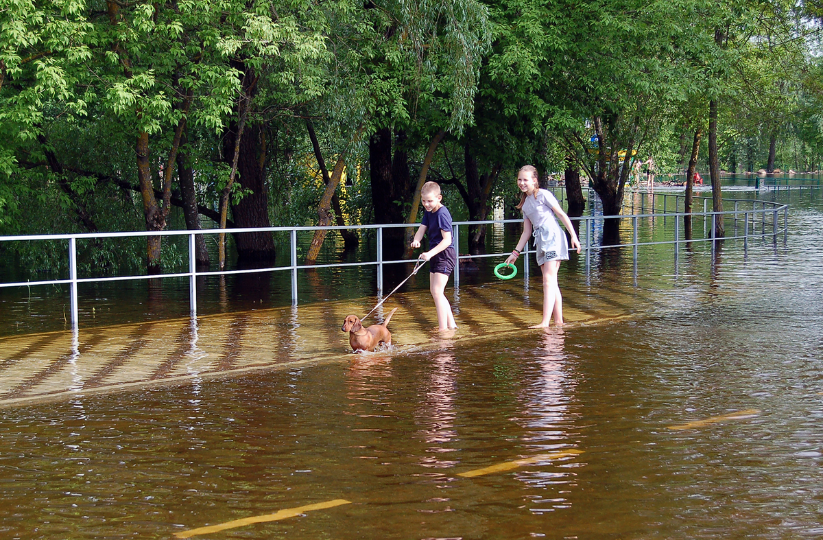 Прогулянки по воді