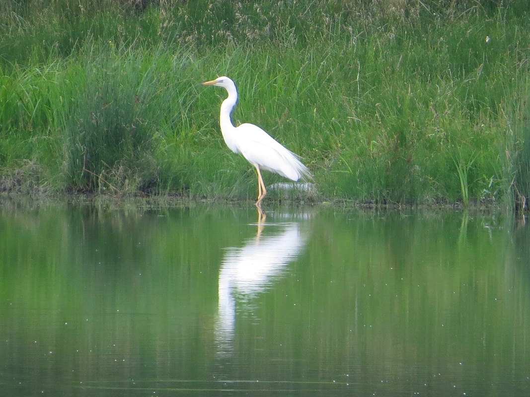 Відпочинок у селі 