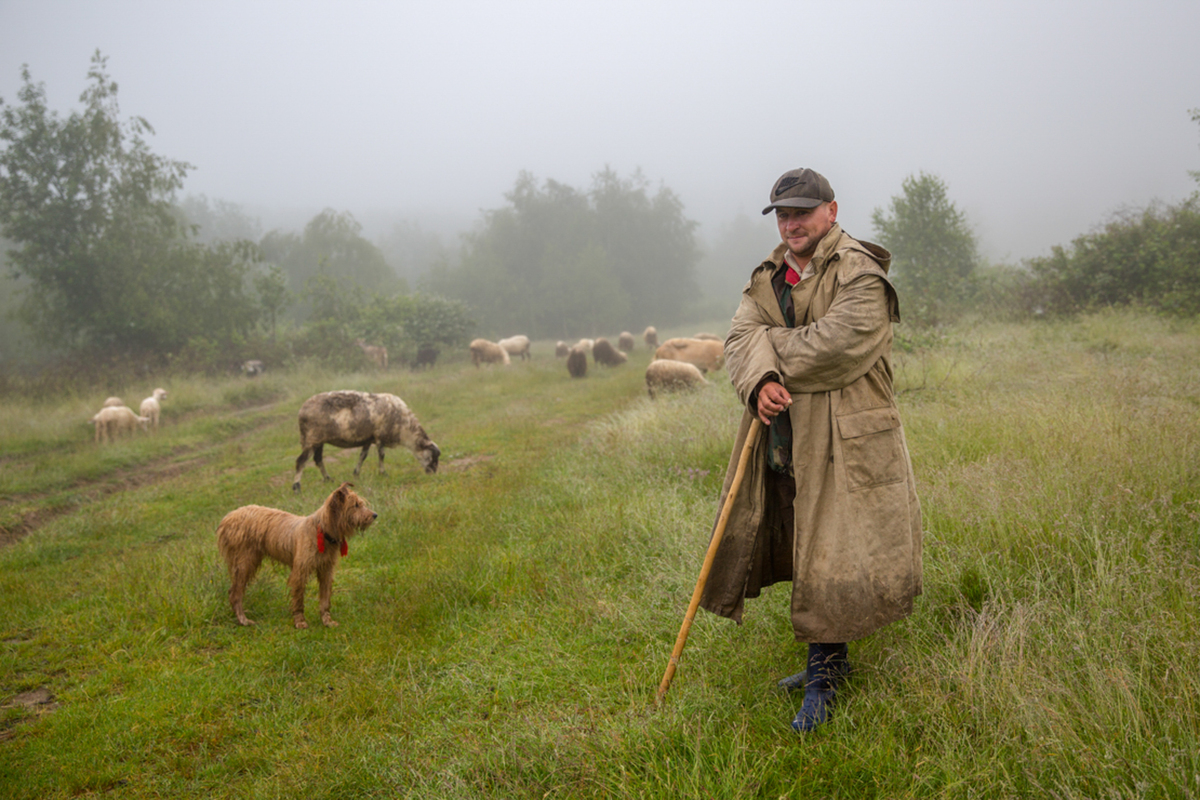 17.06.2023 с.Рокосово Україна 
