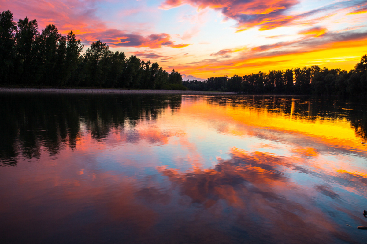 Вечір на Тисі 