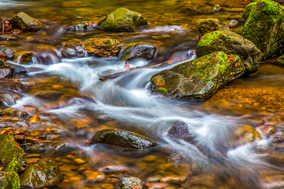Гірський струмок В Карпатах 