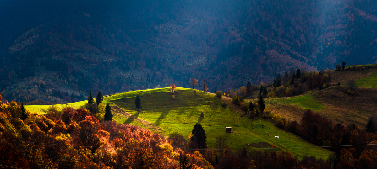 29.10.2023Синевірський перевал Карпати