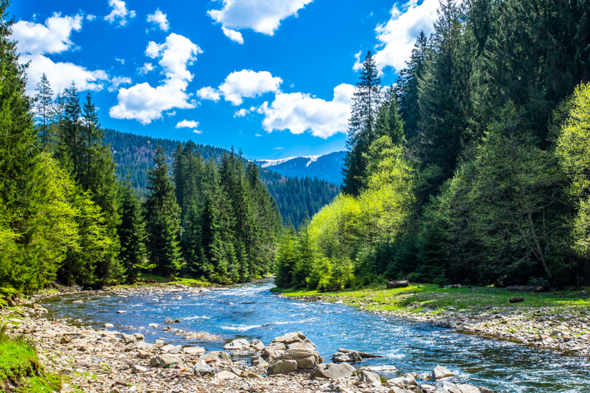 Синевірський перевал р.Теребля