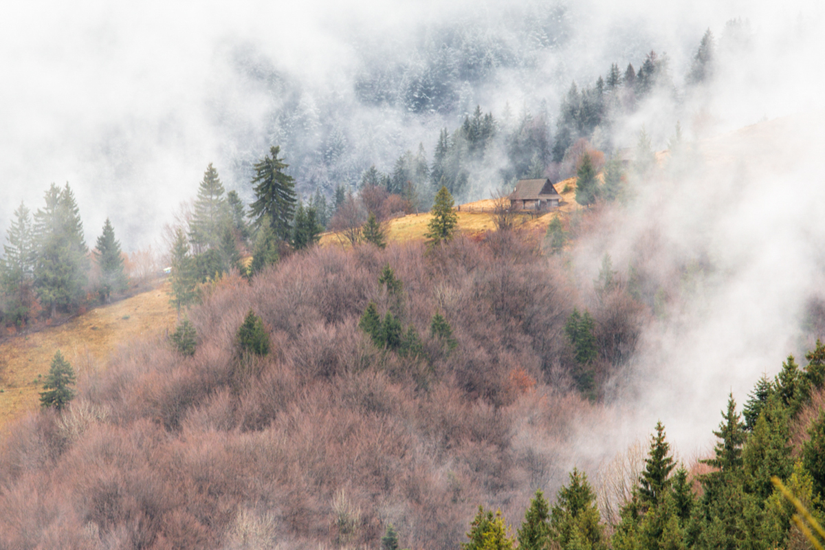 24.03.2024 Карпати в тумані