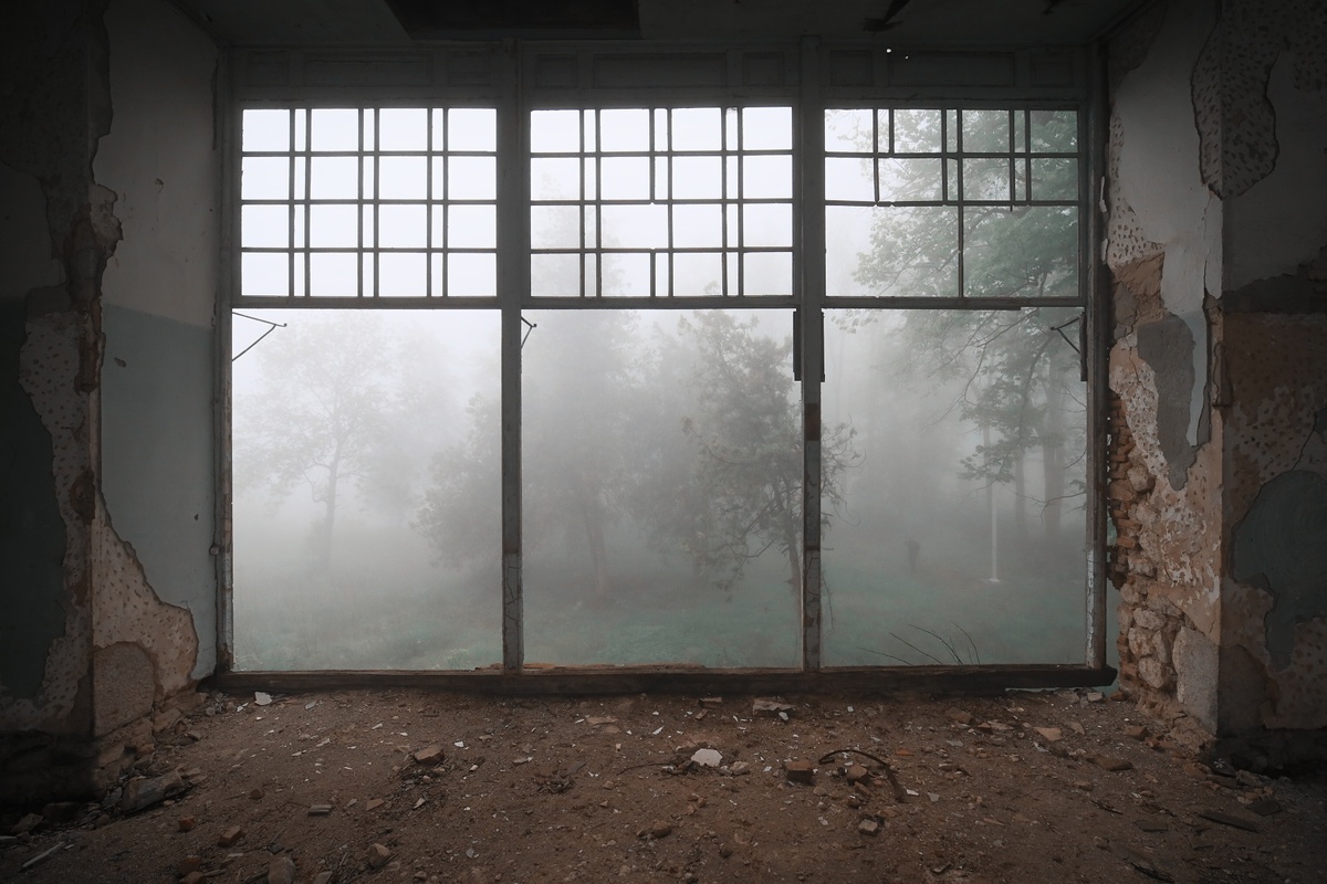 View to the front yard