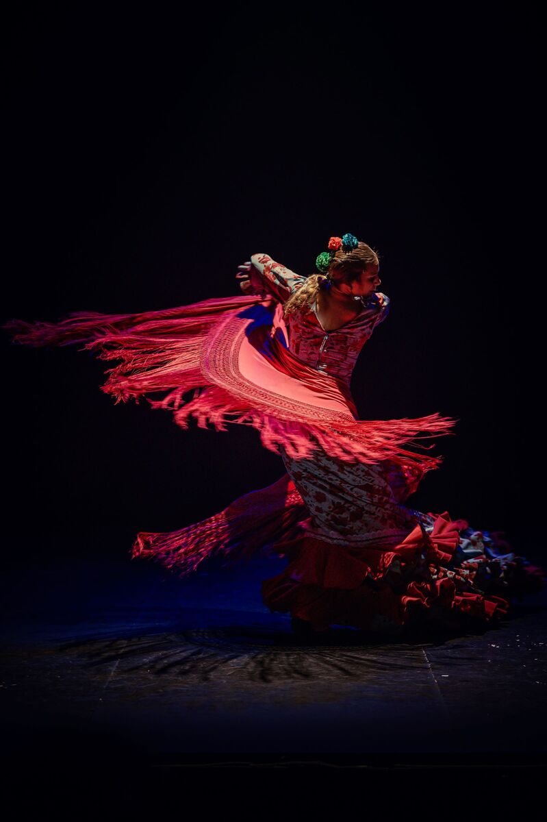 Flamenco passion