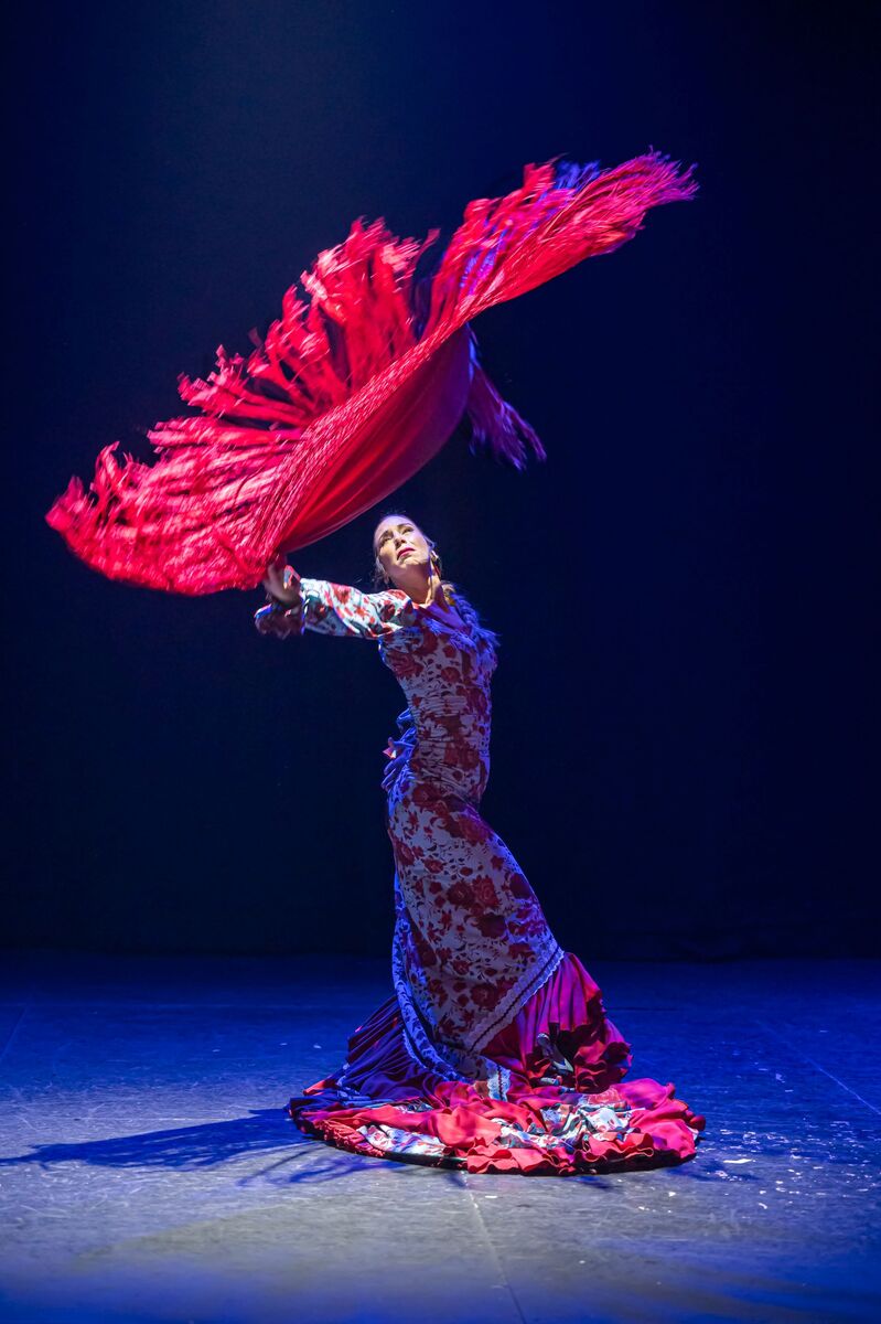 Flamenco story