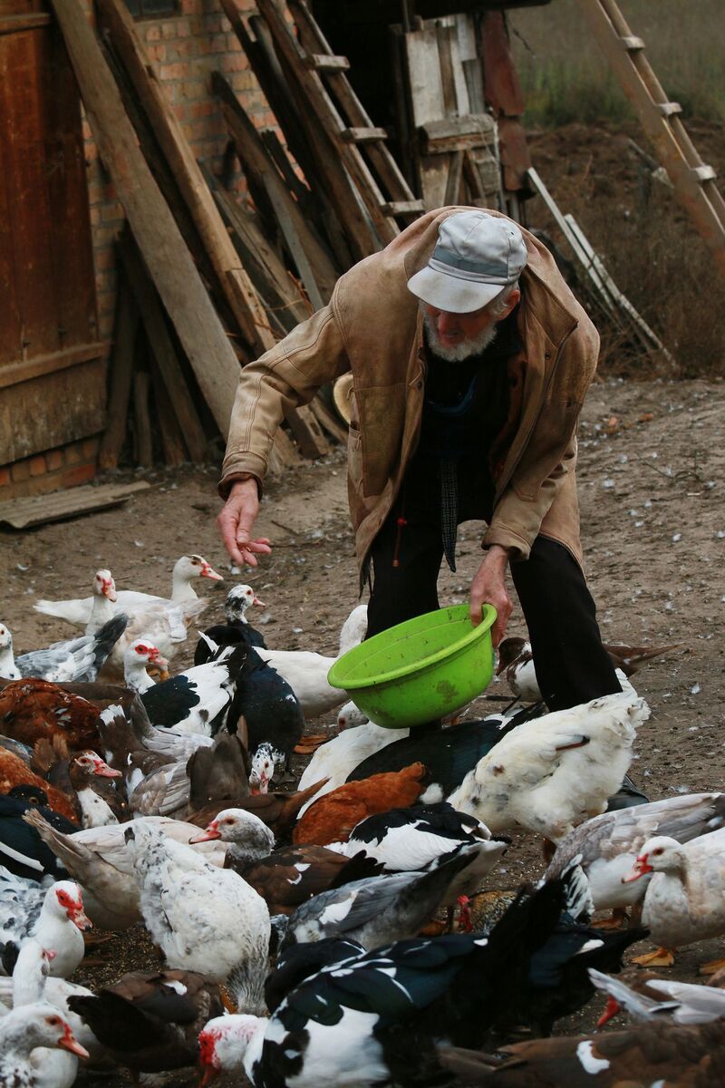 Аби не війна...