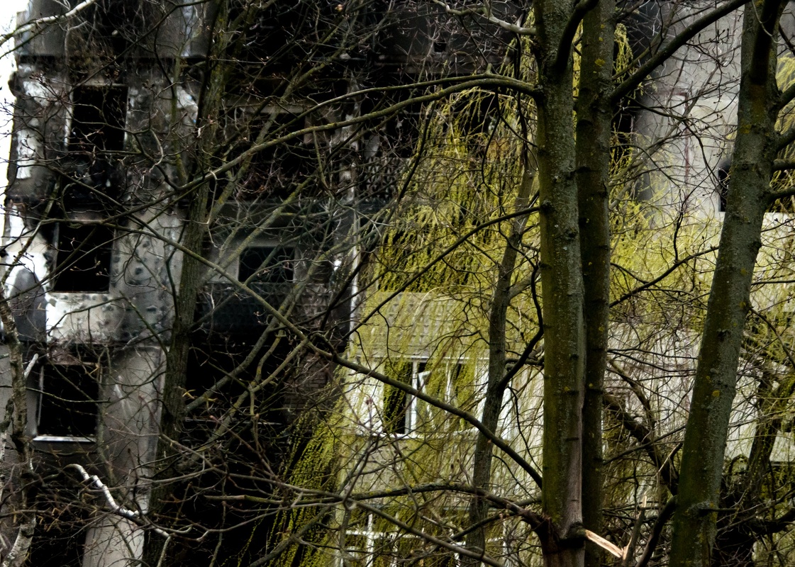 Пейзажі війни 2