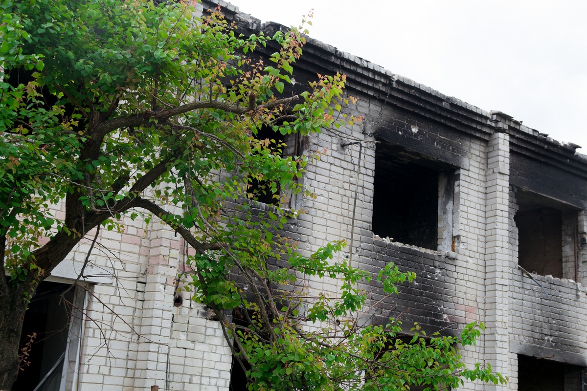 Пейзажі війни 4