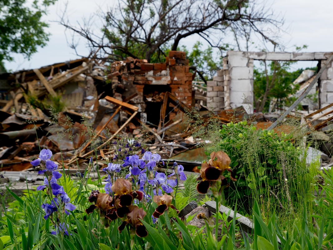 Пейзажі війни 6