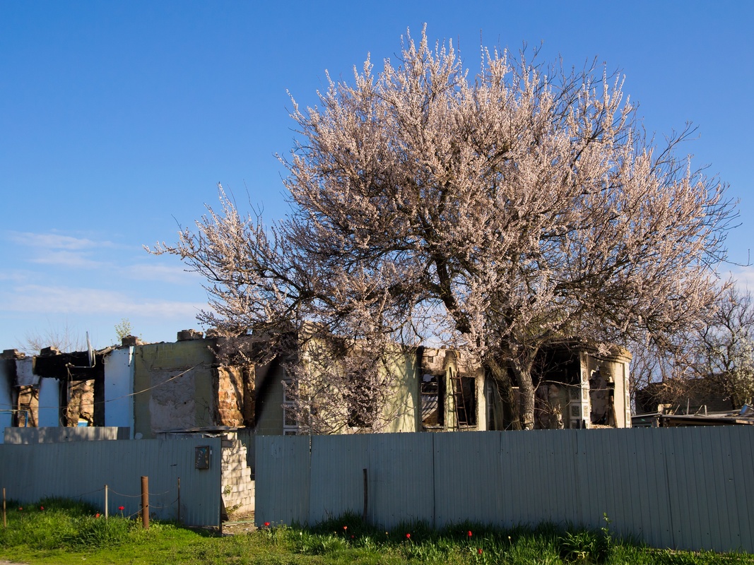 Пейзажі війни 8
