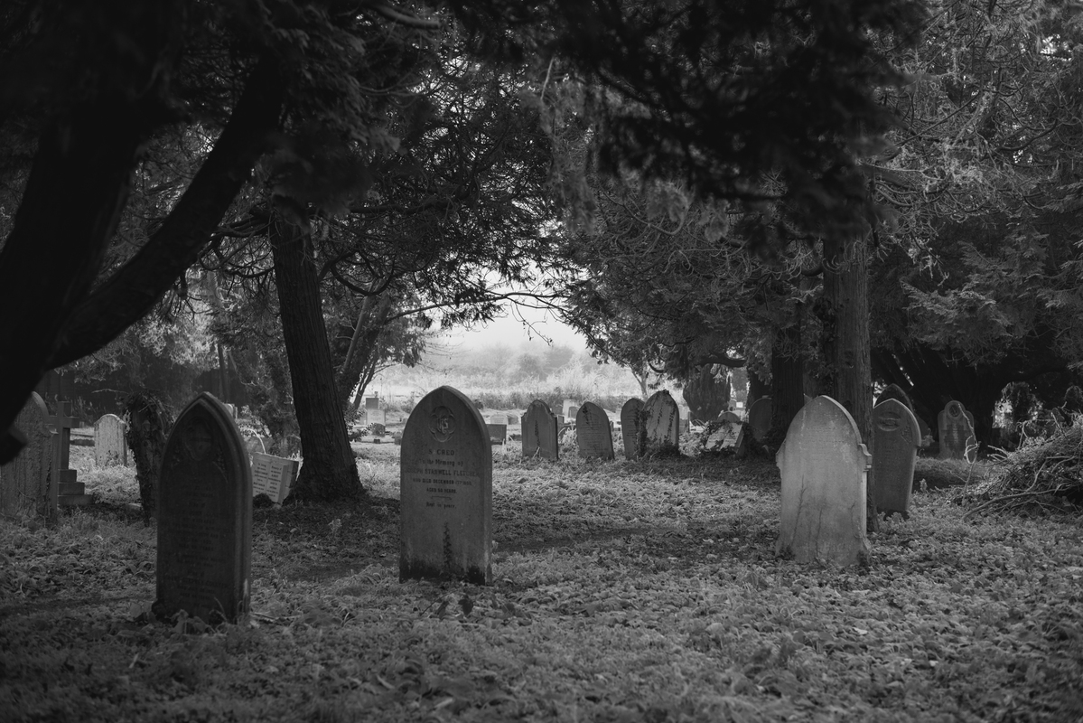 Тіні Вічності