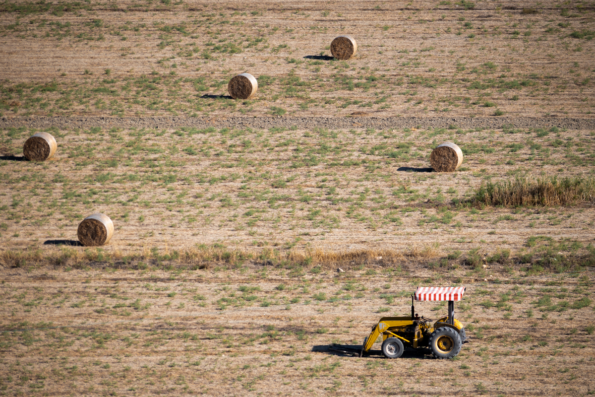 Відблиски робочого дня