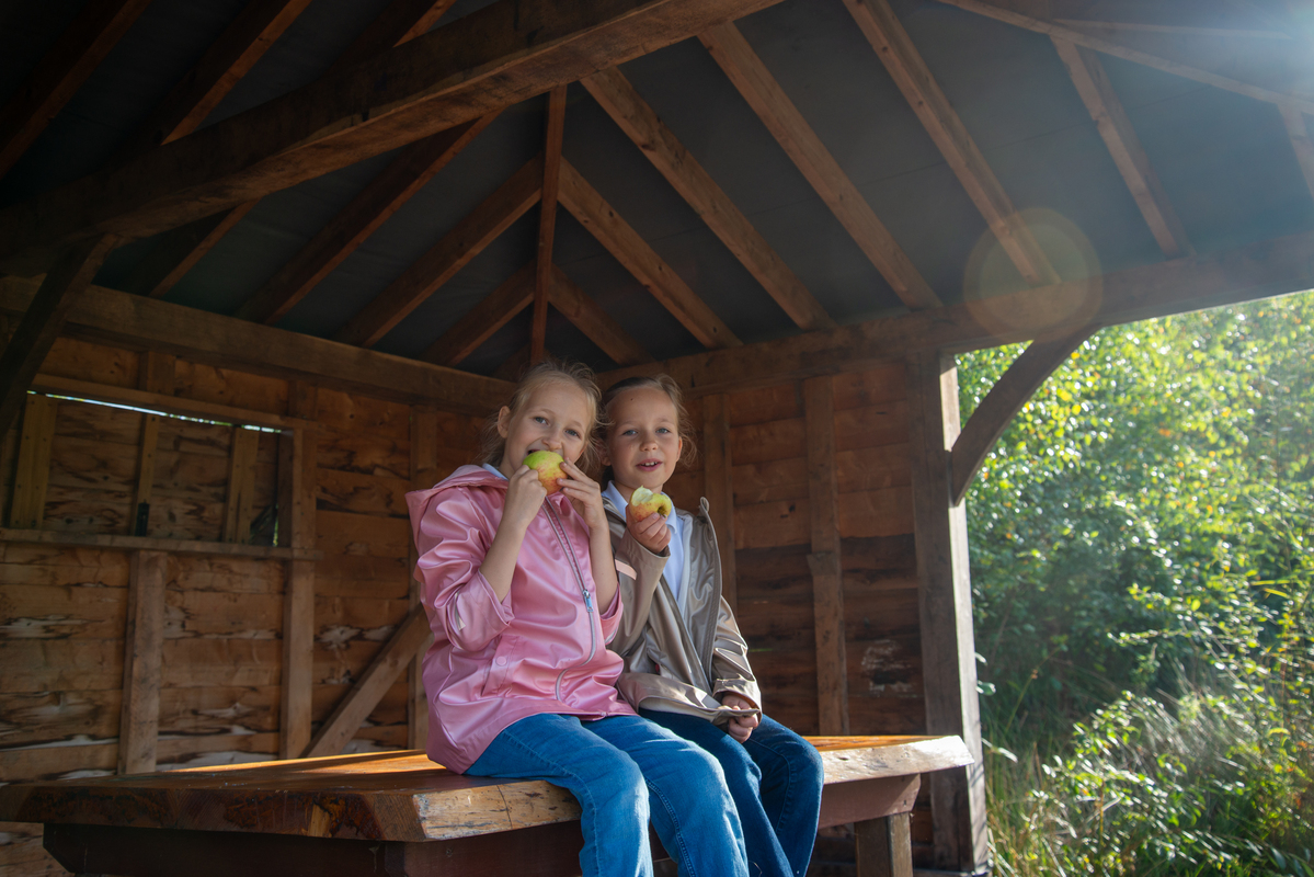 Пауза на природі