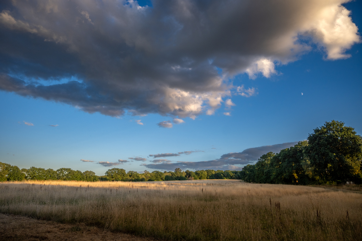 Вечірній настрій під молодим місяцем