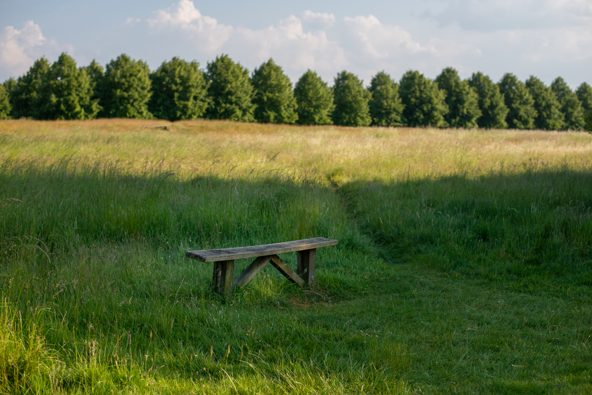 Місце для медитацій по дорозі з поля