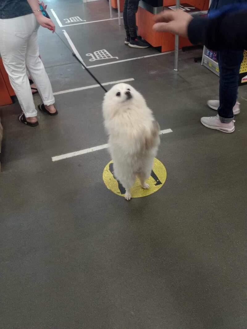 Маленький пасажир