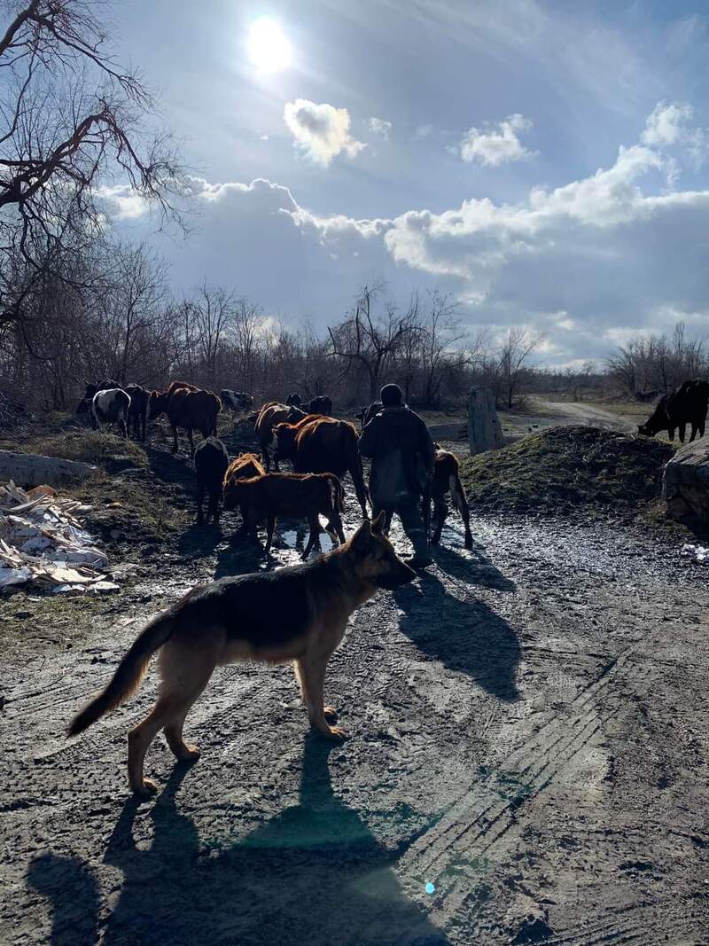 Весняні будні