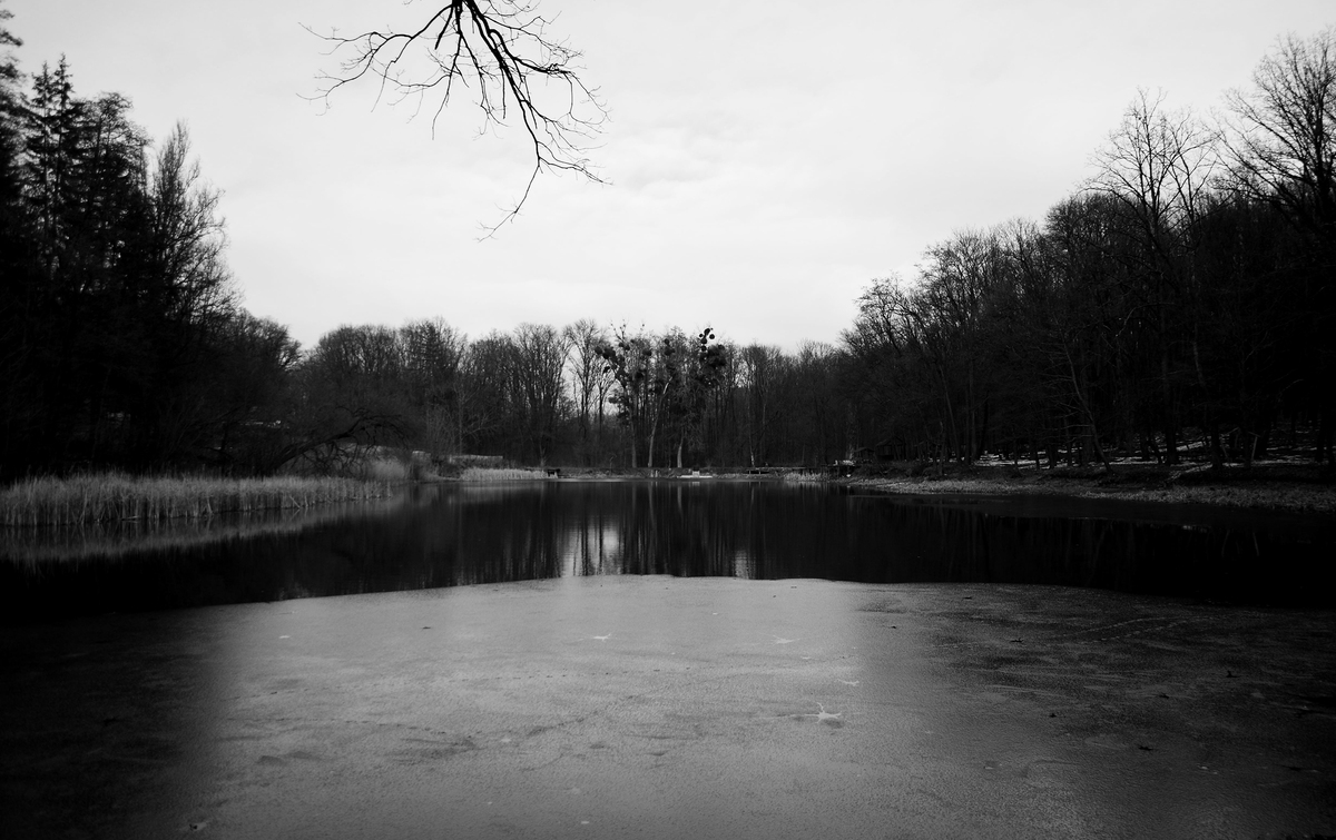     Подих Зими. Озеро Соцьке. Вінниця 2024. Погода 20.02.2024 була прекрасною і створила такий  чудовий пейзаж навколо озера під назвою Подих Зими