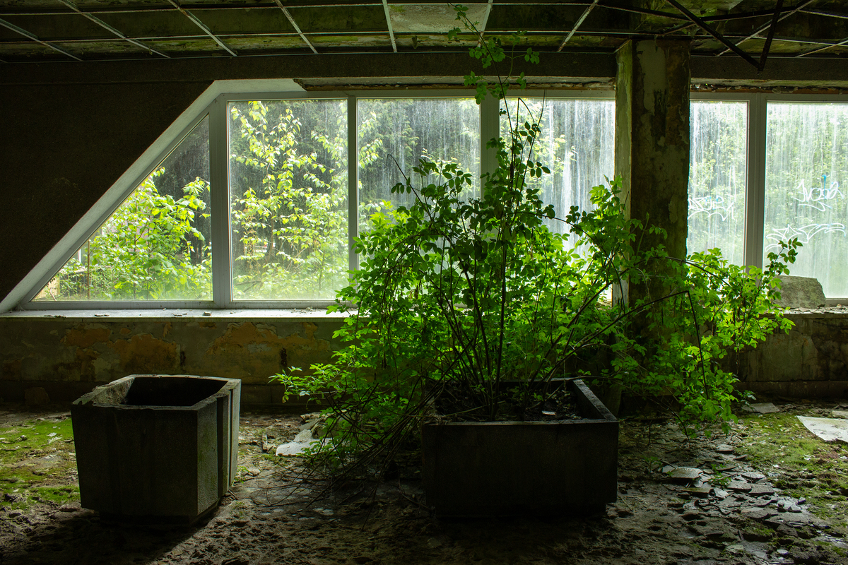 Сила природи