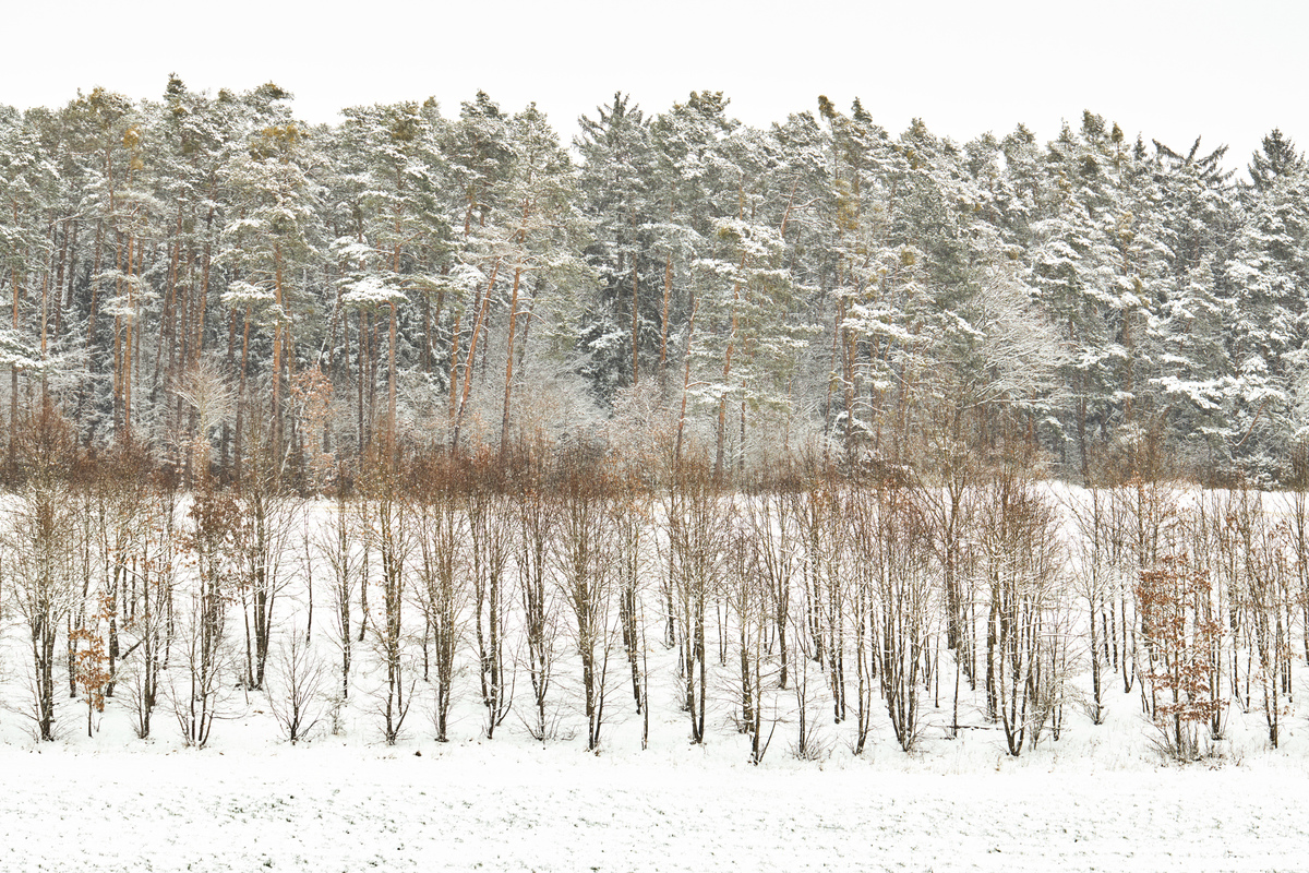 Зимовий день