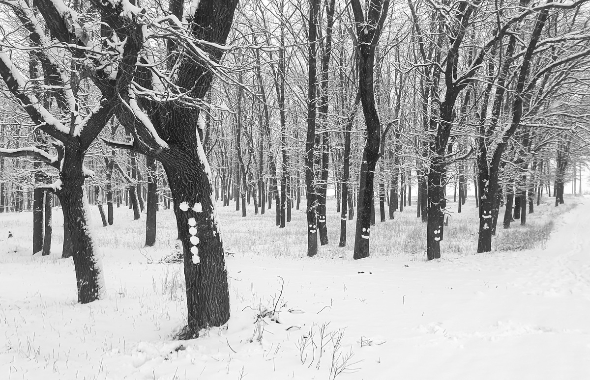 Тут був Спротив