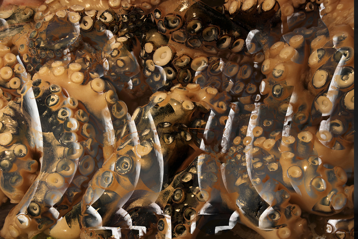 Живе та мертве